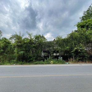 出售地皮-泰国-巴吞他尼-1040-平方米-90.69-01