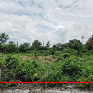 出售地皮-泰国-巴吞他尼-1096-平方米-42.86-01