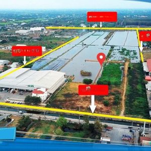 出售地皮-泰国-巴吞他尼-111780-平方米-214.12-01