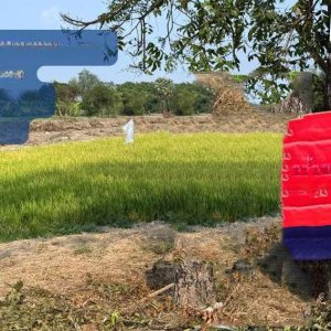 出售地皮-泰国-巴吞他尼-11200-平方米-75-01