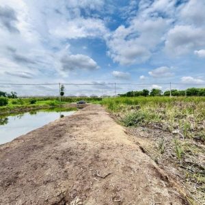 出售地皮-泰国-巴吞他尼-1140-平方米-75.2-01