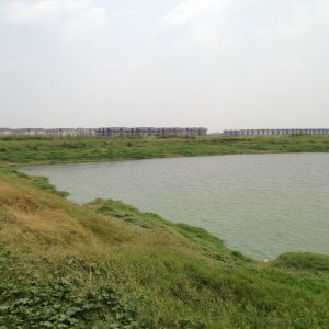 出售地皮-泰国-巴吞他尼-11984-平方米-21.43-01