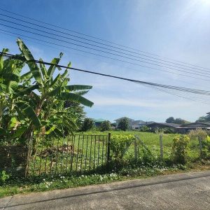 出售地皮-泰国-巴吞他尼-1344-平方米-255.12-01