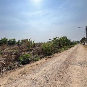 出售地皮-泰国-巴吞他尼-1392-平方米-68.98-01