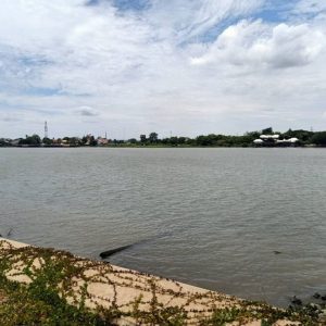 出售地皮-泰国-巴吞他尼-1436-平方米-644.66-01