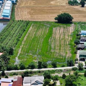 出售地皮-泰国-巴吞他尼-14372-平方米-57.26-01