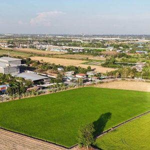 出售地皮-泰国-巴吞他尼-15148-平方米-88.29-01