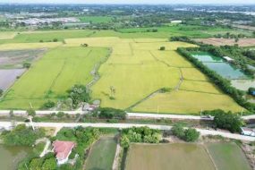 出售地皮-泰国-巴吞他尼-15460-平方米-64.32-01