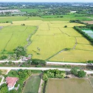 出售地皮-泰国-巴吞他尼-15460-平方米-64.32-01