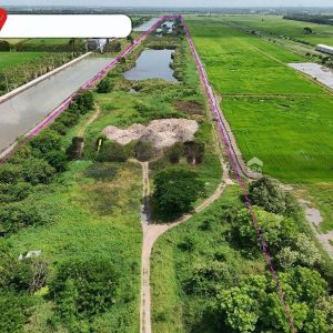 出售地皮-泰国-巴吞他尼-158152-平方米-32.55-01