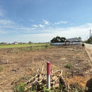 出售地皮-泰国-巴吞他尼-1600-平方米-105-01