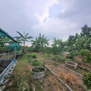 出售地皮-泰国-巴吞他尼-1600-平方米-143.58-01