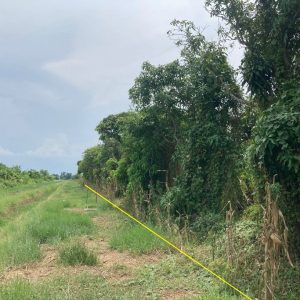 出售地皮-泰国-巴吞他尼-1600-平方米-25.72-01