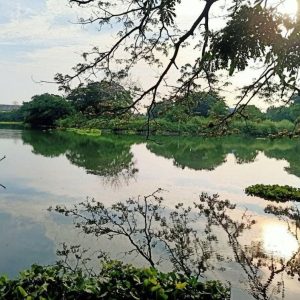 出售地皮-泰国-巴吞他尼-1612-平方米-210.58-01