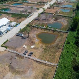 出售地皮-泰国-巴吞他尼-1629.2-平方米-52.43-01