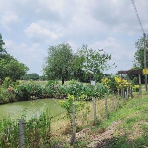 出售地皮-泰国-巴吞他尼-16736-平方米-102.86-01