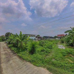 出售地皮-泰国-巴吞他尼-192-平方米-267.86-01