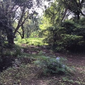 出售地皮-泰国-巴吞他尼-1920-平方米-101.8-01