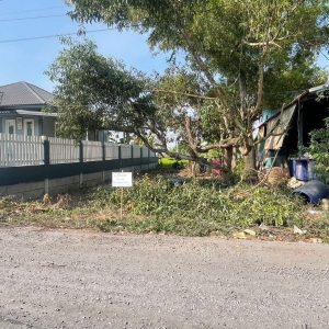 出售地皮-泰国-巴吞他尼-200-平方米-85.72-01