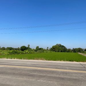 出售地皮-泰国-巴吞他尼-20396-平方米-257.2-01