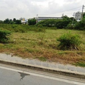 出售地皮-泰国-巴吞他尼-20800-平方米-300-01