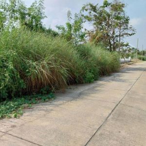 出售地皮-泰国-巴吞他尼-2300-平方米-96.92-01