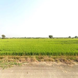 出售地皮-泰国-巴吞他尼-2520-平方米-51.43-01