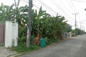 出售地皮-泰国-巴吞他尼-280-平方米-183.69-01