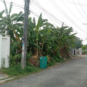 出售地皮-泰国-巴吞他尼-280-平方米-183.69-01