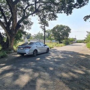 出售地皮-泰国-巴吞他尼-300-平方米-91.43-01