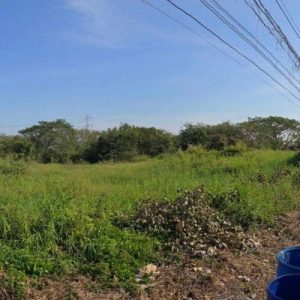 出售地皮-泰国-巴吞他尼-3072-平方米-83.72-01