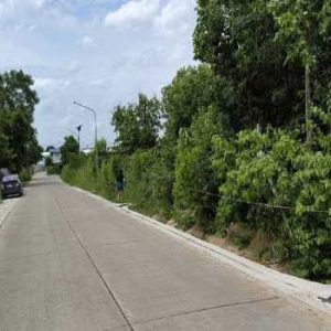 出售地皮-泰国-巴吞他尼-31532-平方米-260.43-01