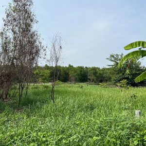 出售地皮-泰国-巴吞他尼-3200-平方米-107.15-01