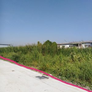 出售地皮-泰国-巴吞他尼-3200-平方米-147.86-01