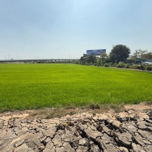 出售地皮-泰国-巴吞他尼-3200-平方米-407.15-01