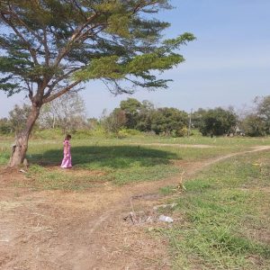 出售地皮-泰国-巴吞他尼-3200-平方米-48.23-01