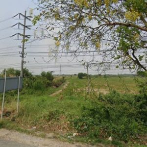 出售地皮-泰国-巴吞他尼-345600-平方米-160.72-01