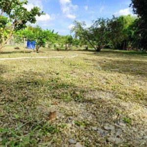 出售地皮-泰国-巴吞他尼-3796-平方米-153.58-01