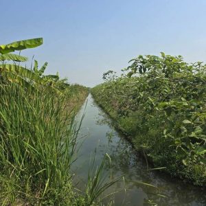 出售地皮-泰国-巴吞他尼-38489.6-平方米-29.95-01