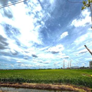 出售地皮-泰国-巴吞他尼-39000-平方米-3.98-01