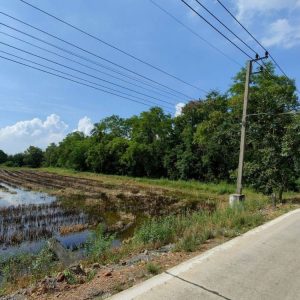 出售地皮-泰国-巴吞他尼-3916-平方米-120-01