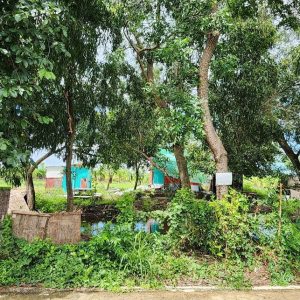 出售地皮-泰国-巴吞他尼-400-平方米-68.58-01