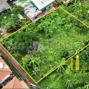 出售地皮-泰国-巴吞他尼-400-平方米-94.29-01