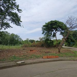 出售地皮-泰国-巴吞他尼-420-平方米-367.38-01