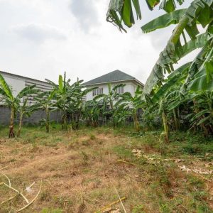 出售地皮-泰国-巴吞他尼-448-平方米-300-01