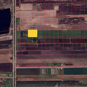 出售地皮-泰国-巴吞他尼-4724-平方米-11.63-01