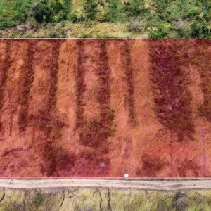 出售地皮-泰国-巴吞他尼-4800-平方米-21.09-01