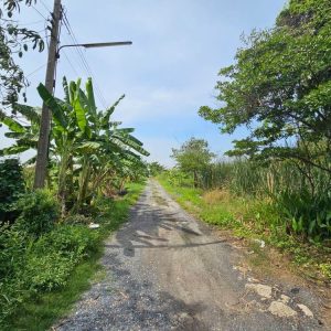 出售地皮-泰国-巴吞他尼-48000-平方米-81.43-01