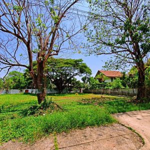 出售地皮-泰国-巴吞他尼-488-平方米-154.58-01