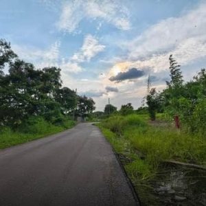 出售地皮-泰国-巴吞他尼-524.8-平方米-71.89-01